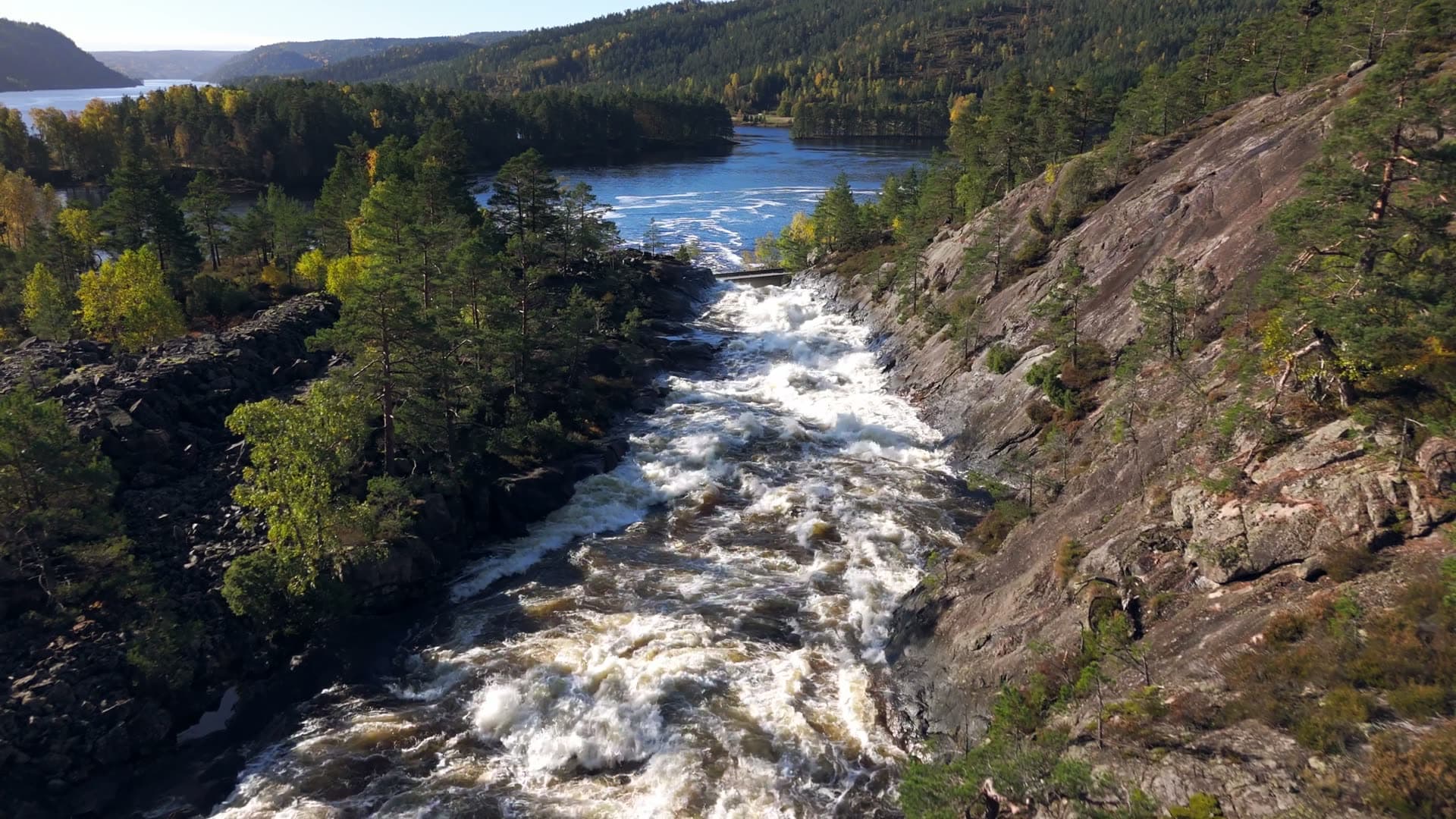 Whitewater rapids and coniferous forest landscape, Herefoss, Norway