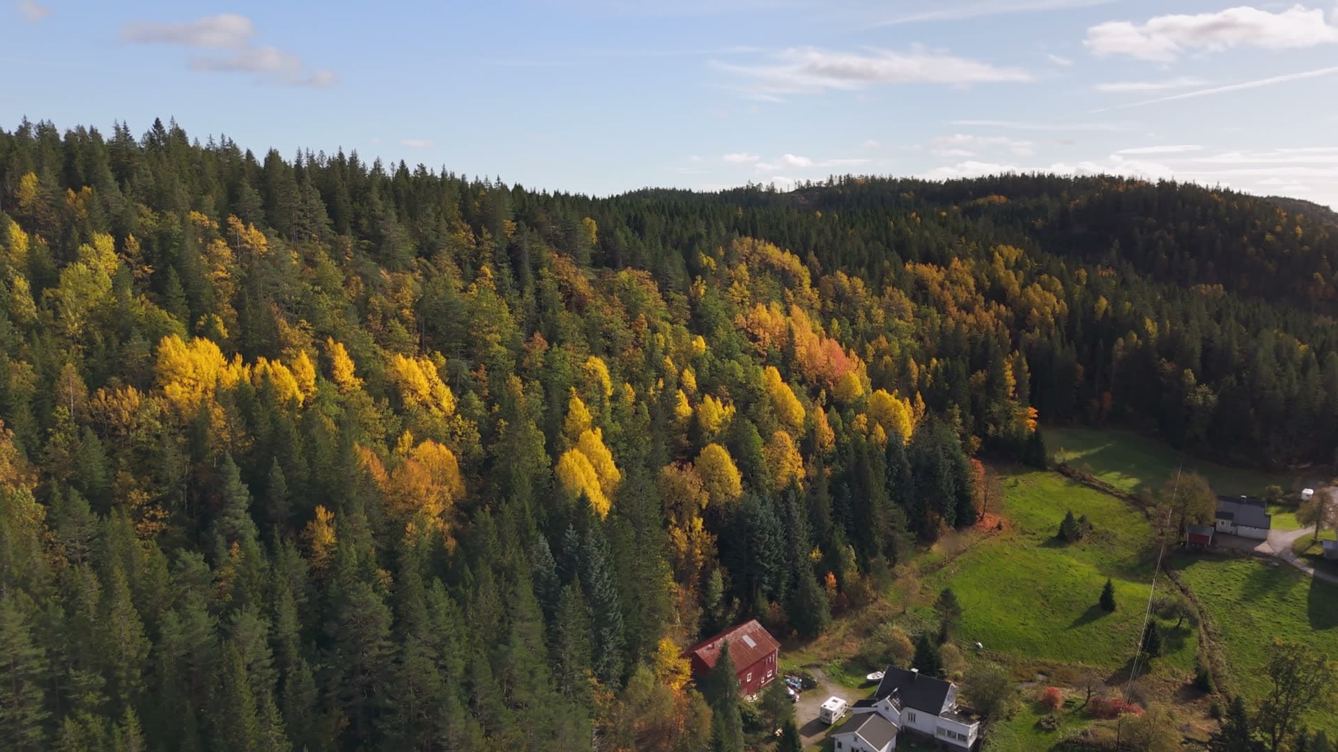 Scattered houses nestled in autumn mixed forest, Birkeland, Norway