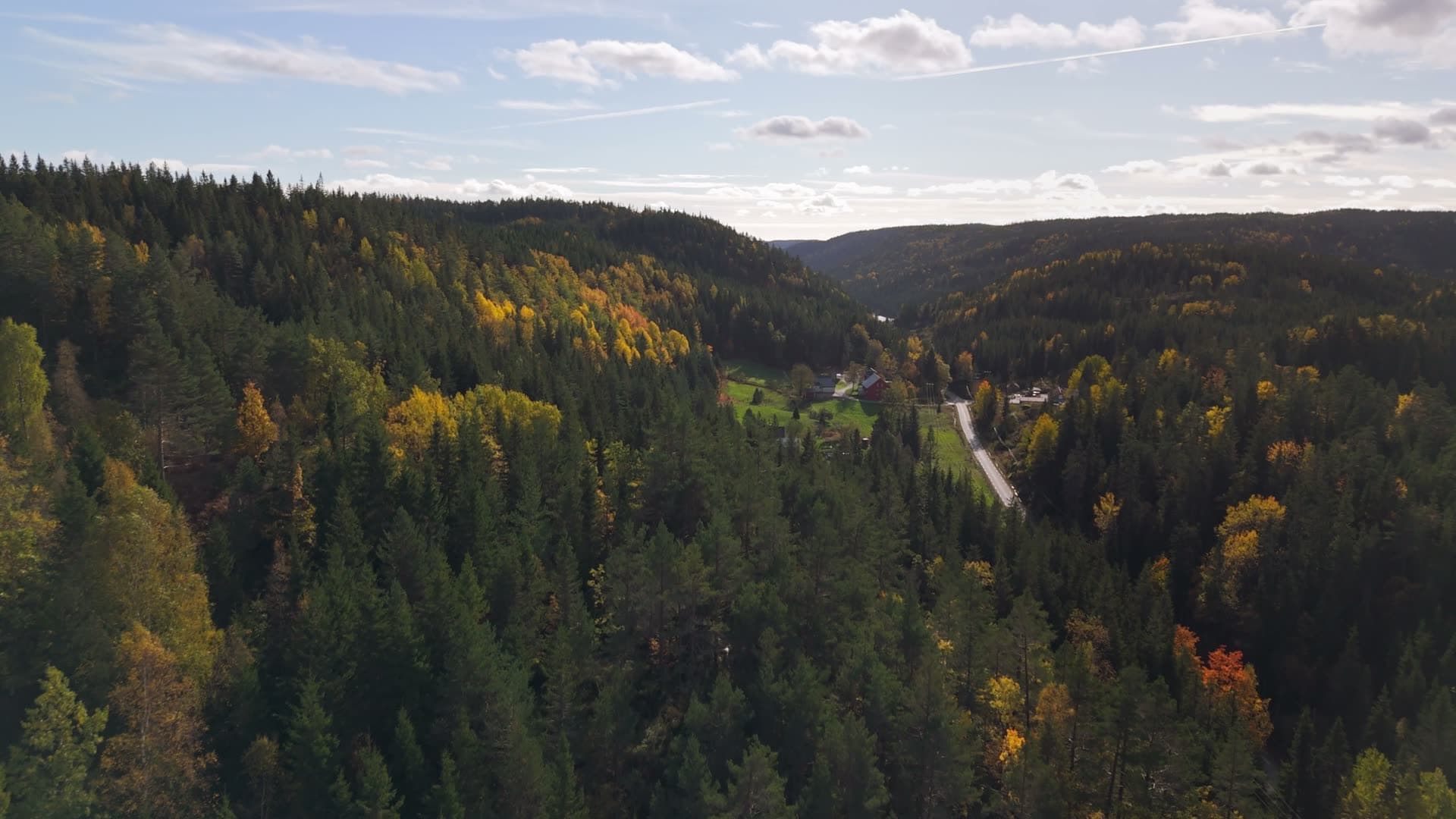 Birkeland