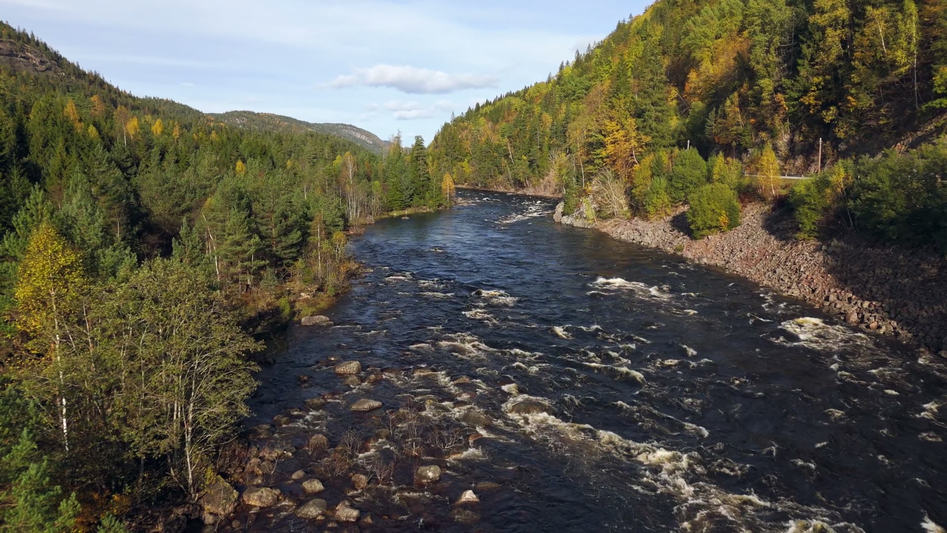 River flowing through forested mountain valley, Birkenes, Norway