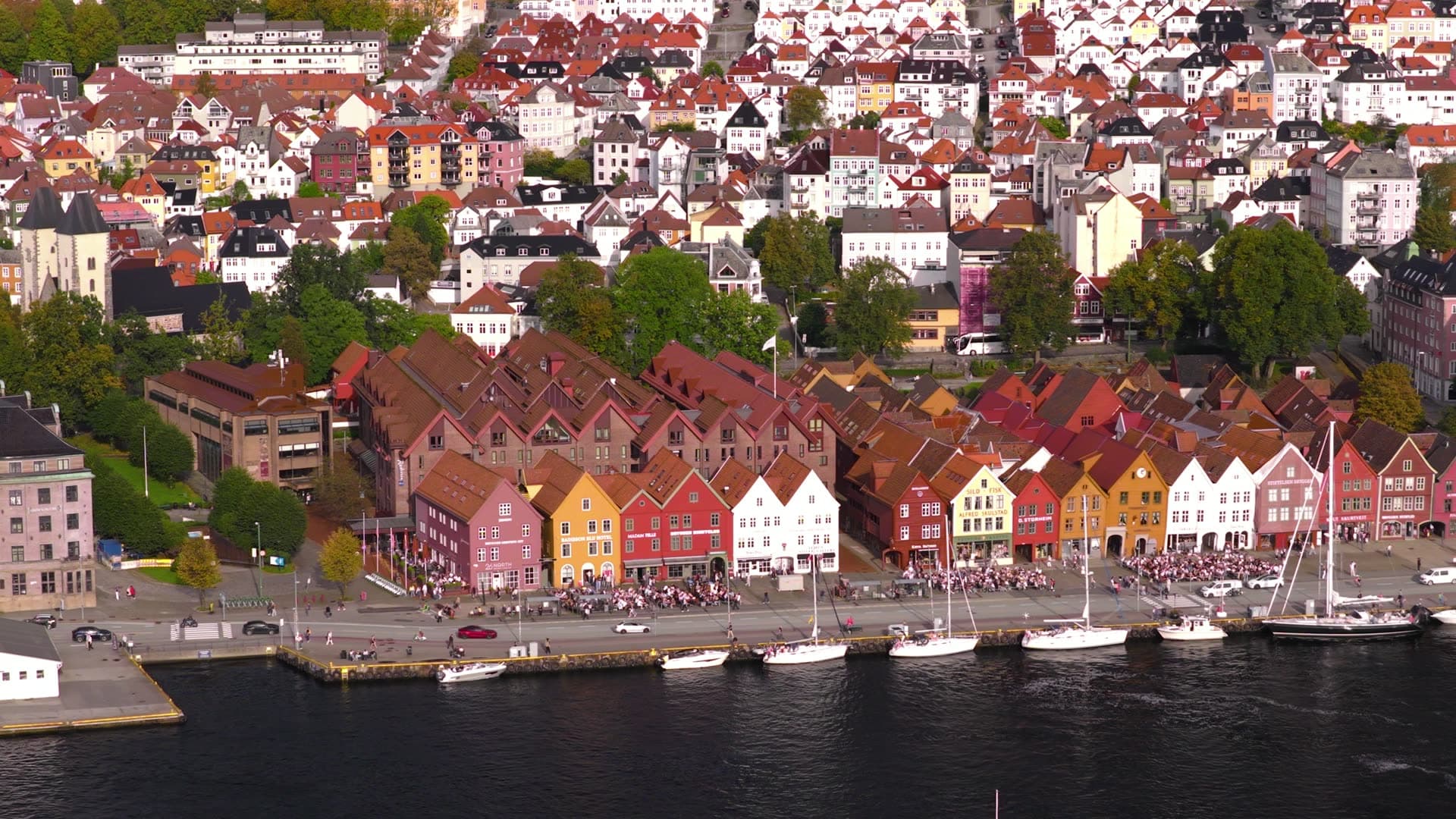 Fjords