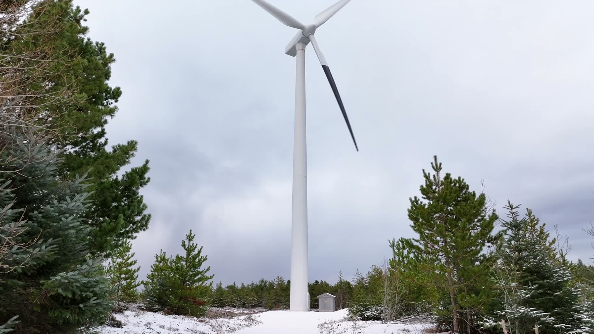 Rising drone view of a wind turbine above snowy trees, Harøy