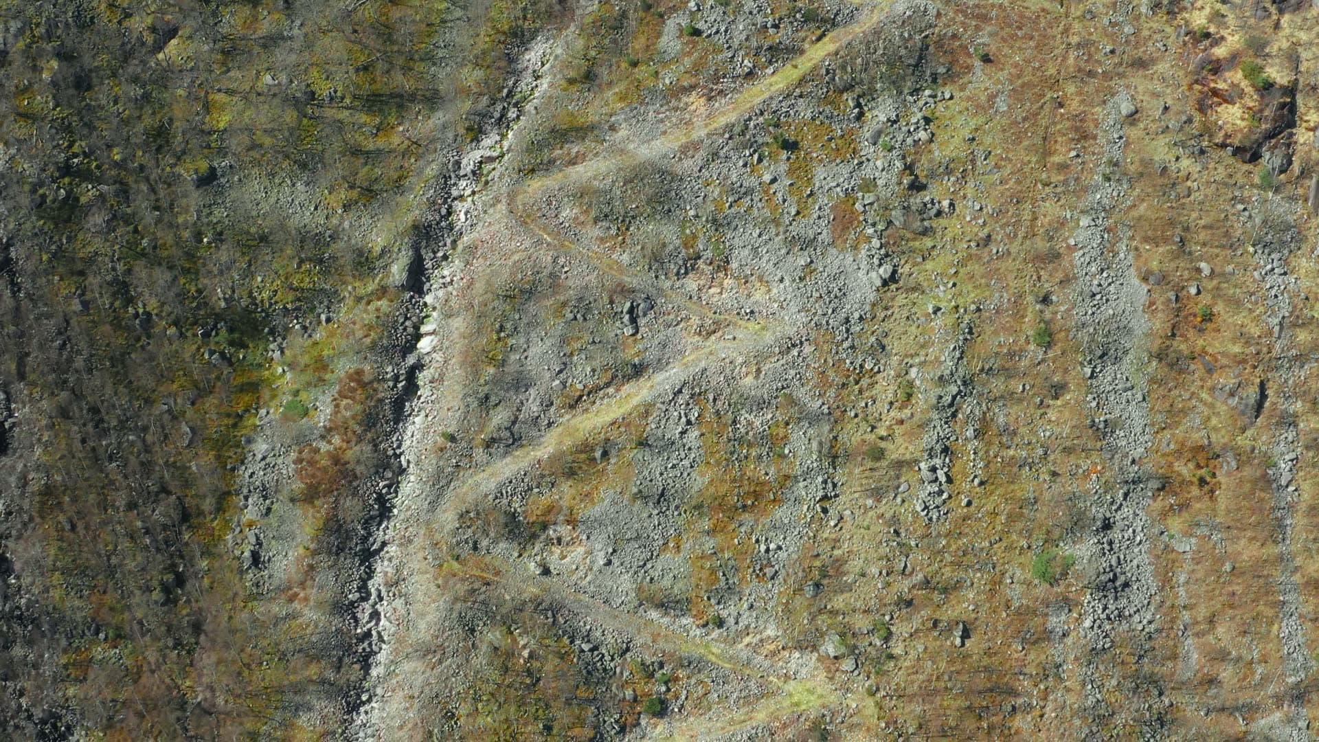 Lichen and moss on rock surface, Månafossen