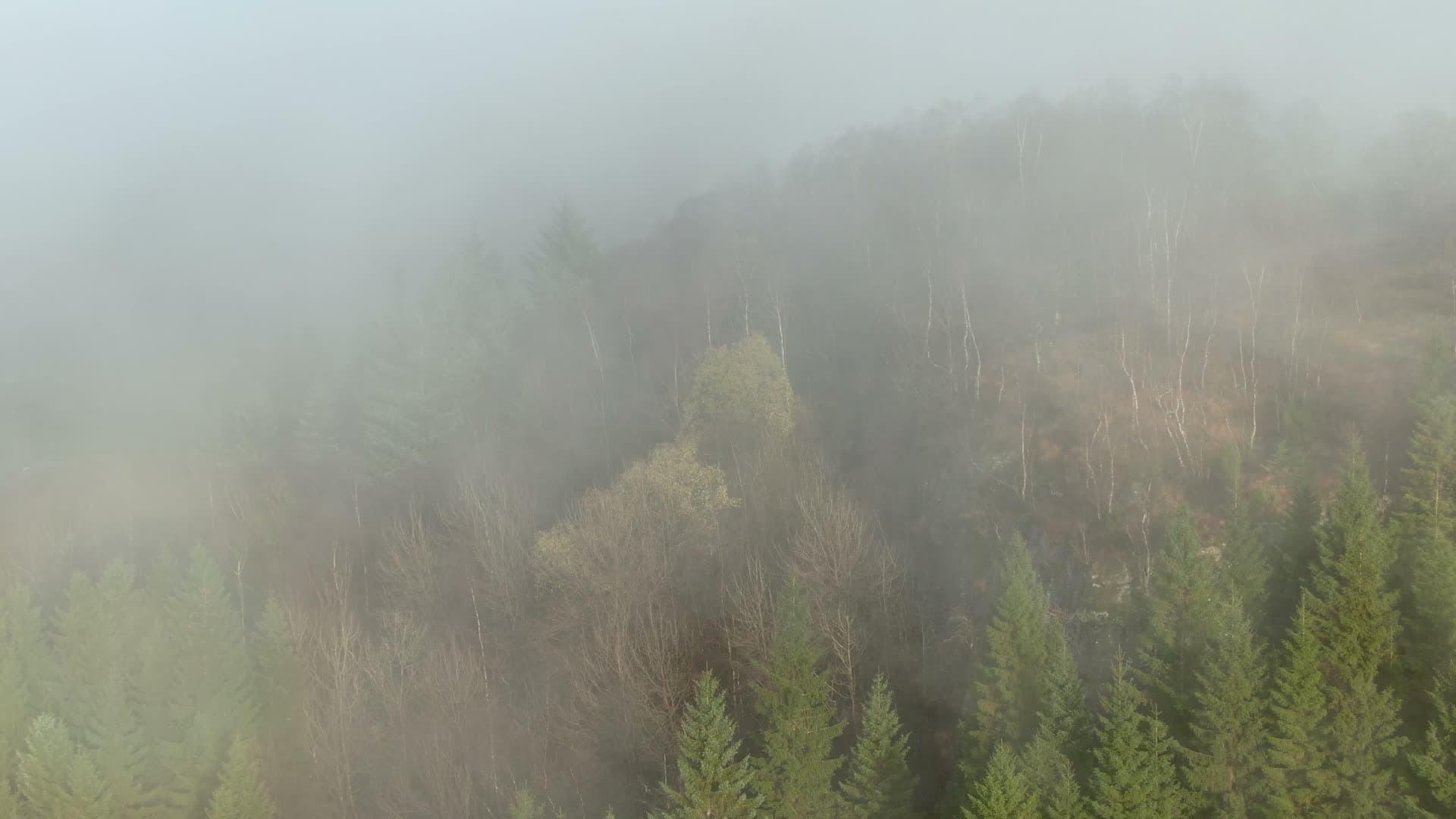 Misty mountain forest landscape, Ingvaldstad