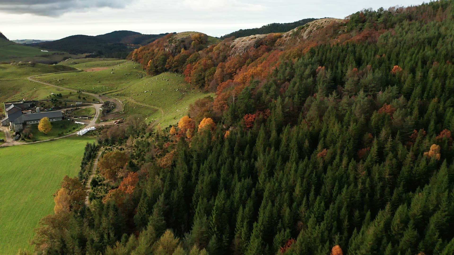 Forest estate in autumn valley, Bråsteinvatnet