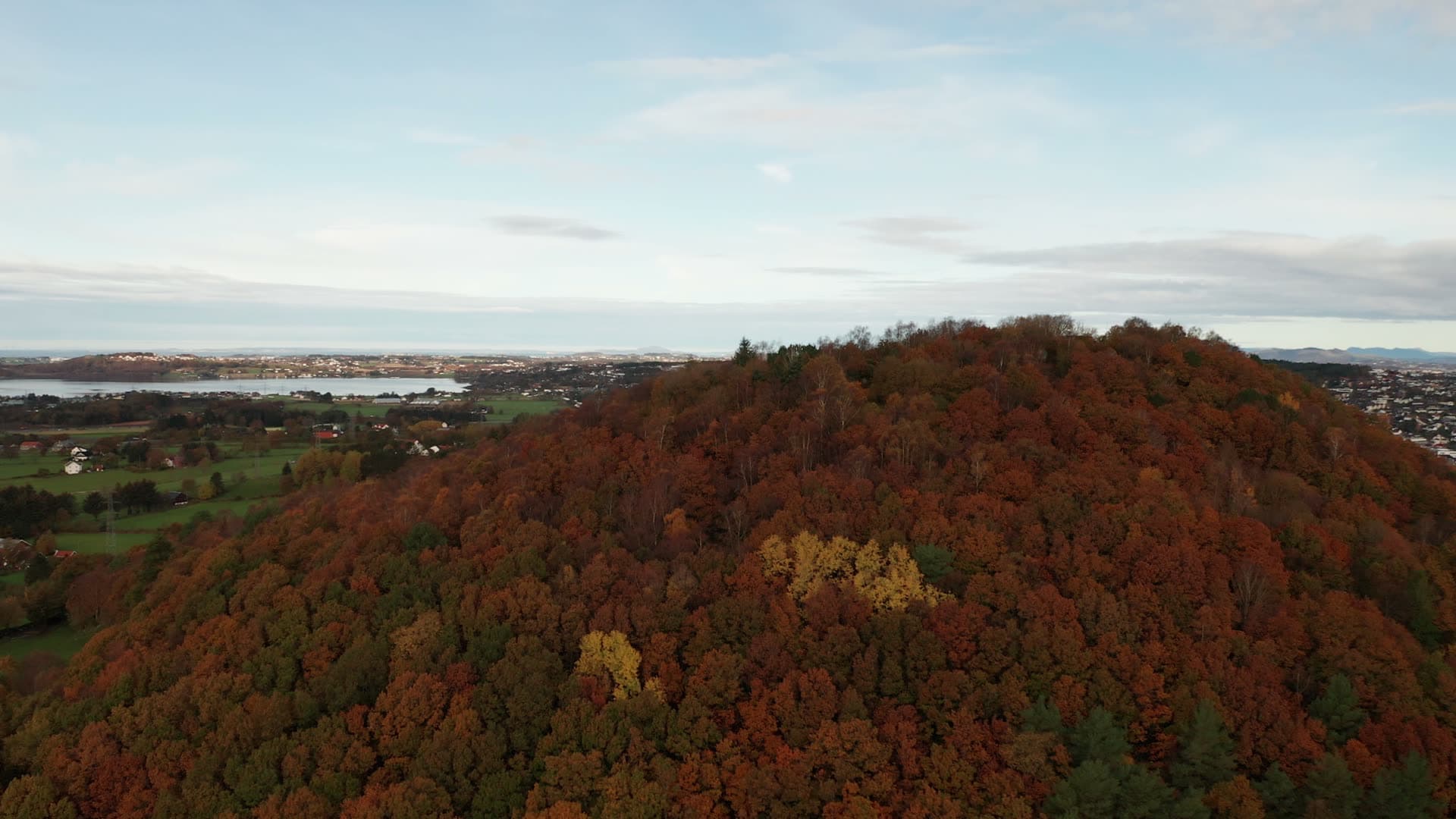 Forested hill with autumn foliage, Godeset