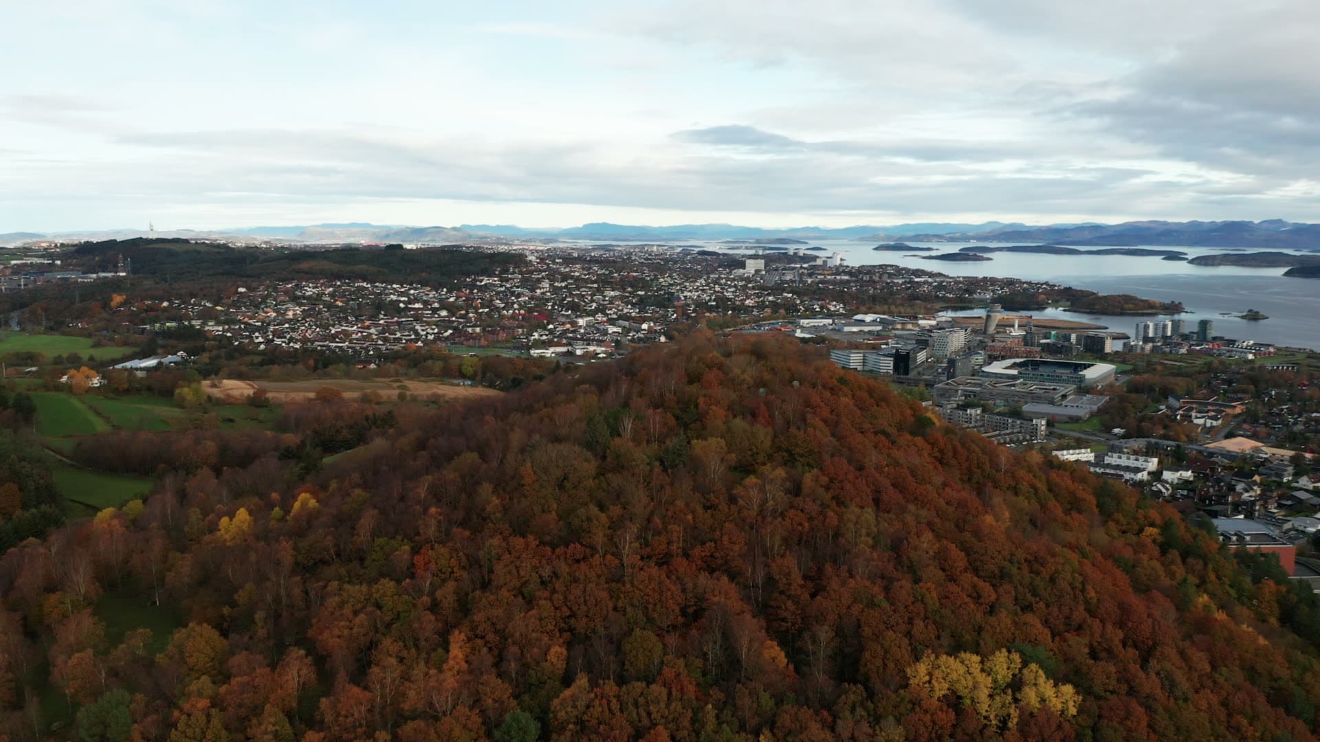 Forested hillside above coastal town and fjord, Godeset