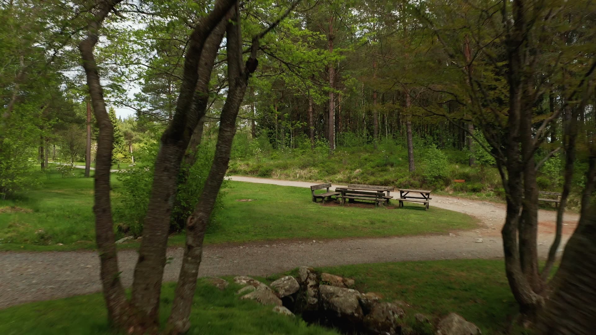 Forest picnic area with benches and tables, Rogaland Arboret