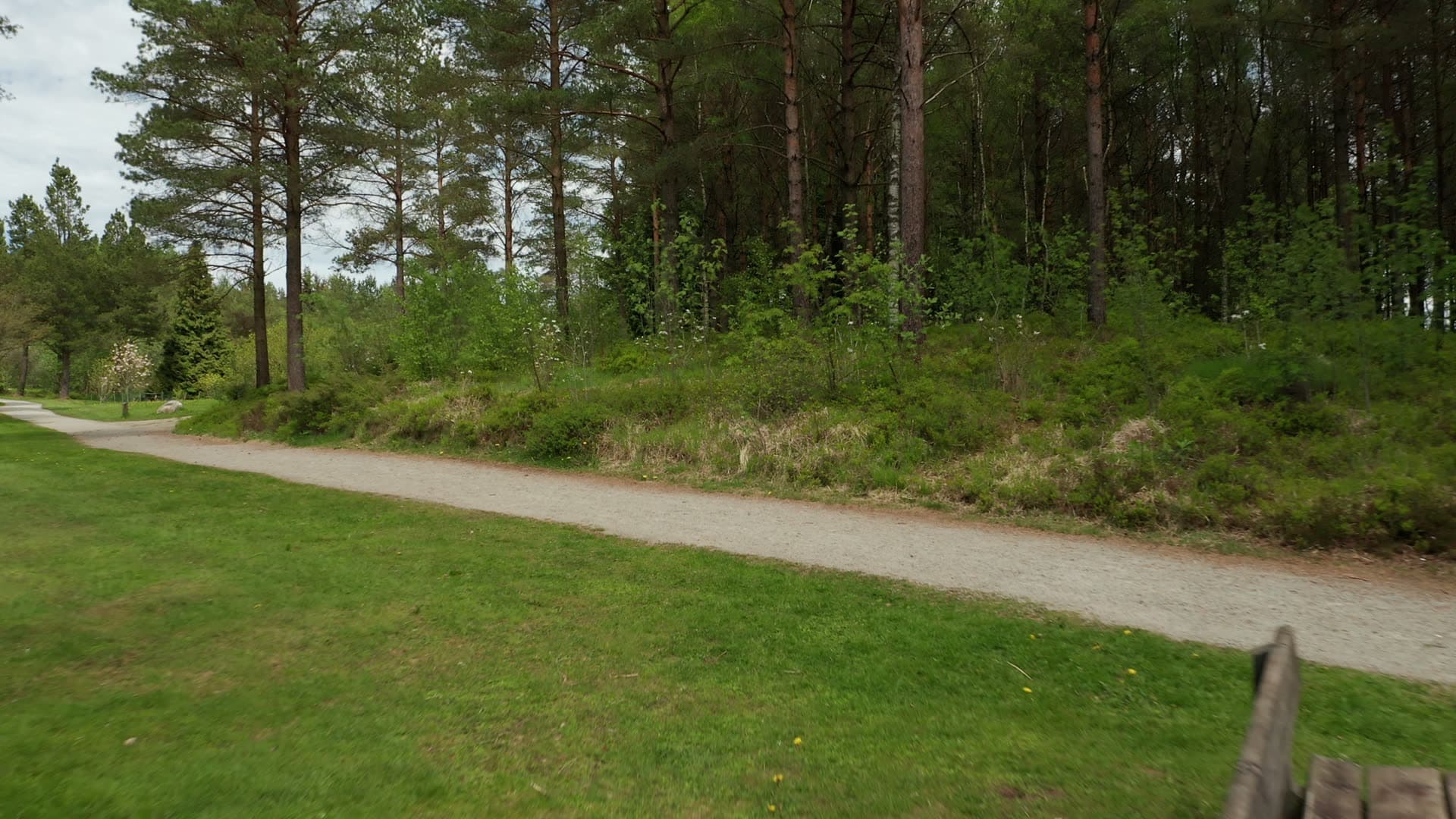 Forest picnic area with wooden tables and path, Rogaland Arboret