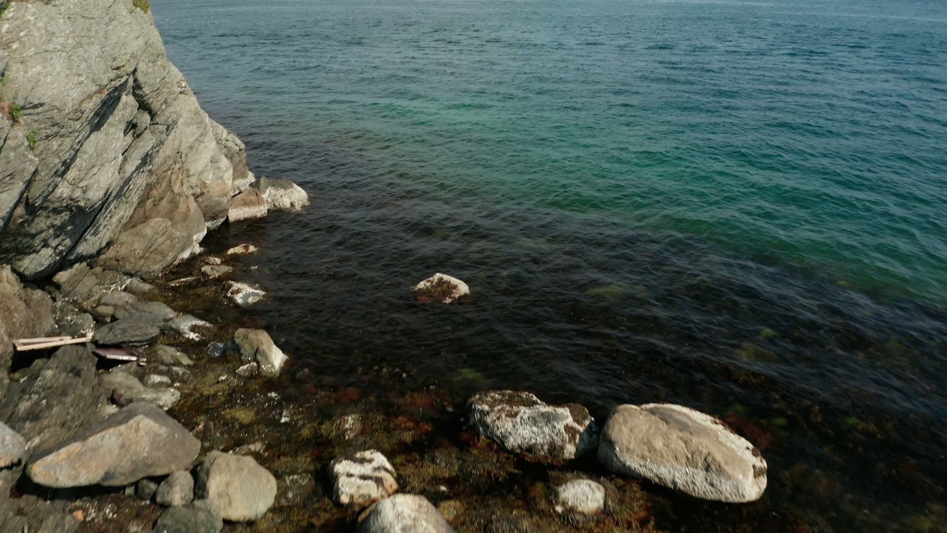 Rocky fjord coastline with evergreen forest, Stavanger