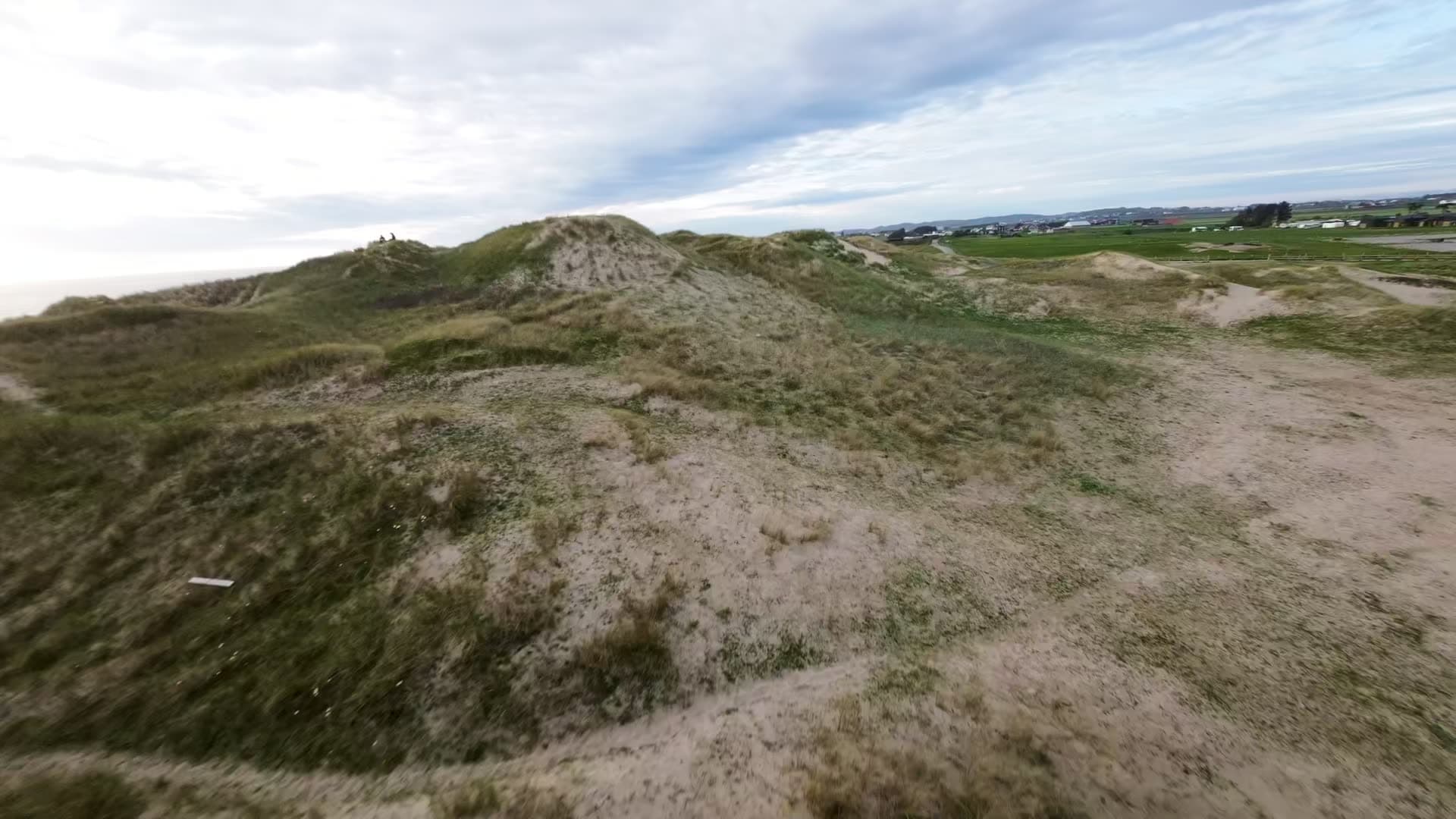 Sand dunes with marram grass overlooking ocean, Boresanden