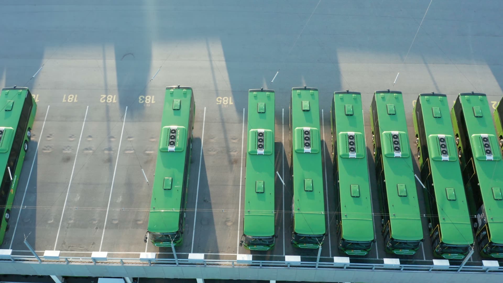 Kolumbus Green buses parked in organized rows, Forus
