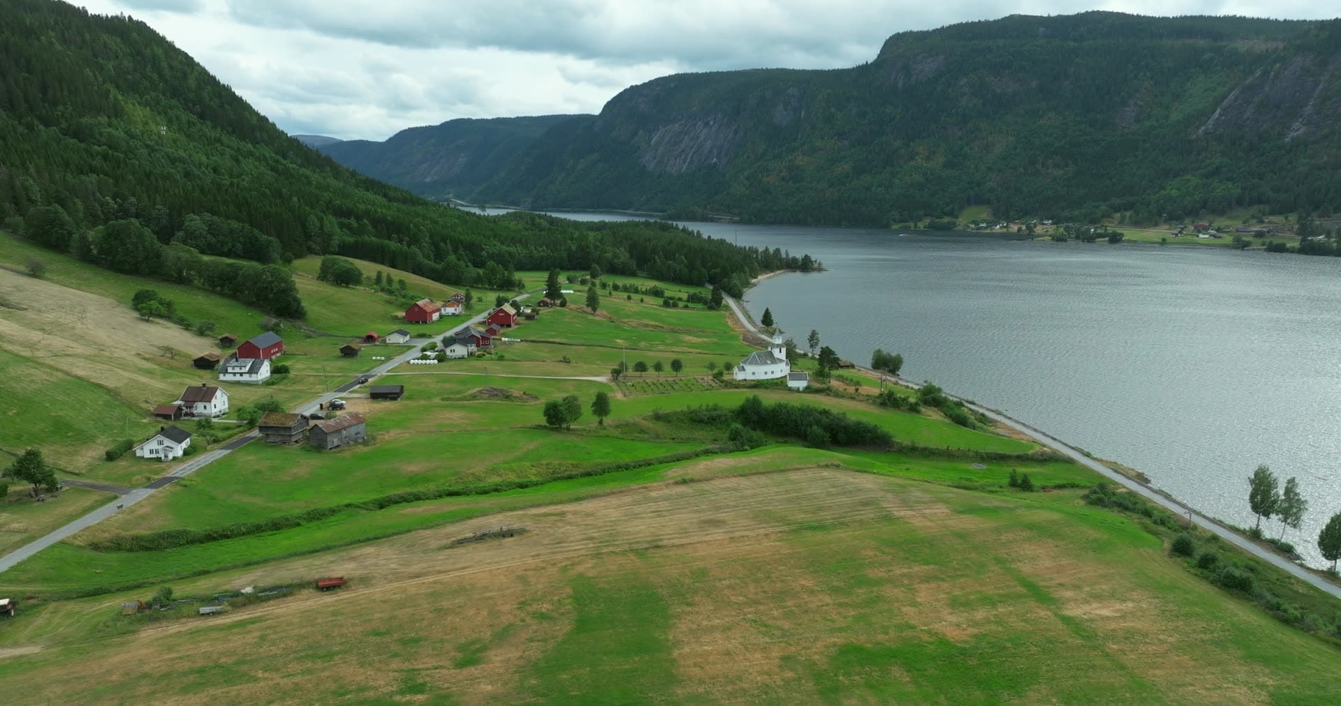 Pastoral valley divided by freshly mown hay strips, Åraksbø, Bygland, Norway