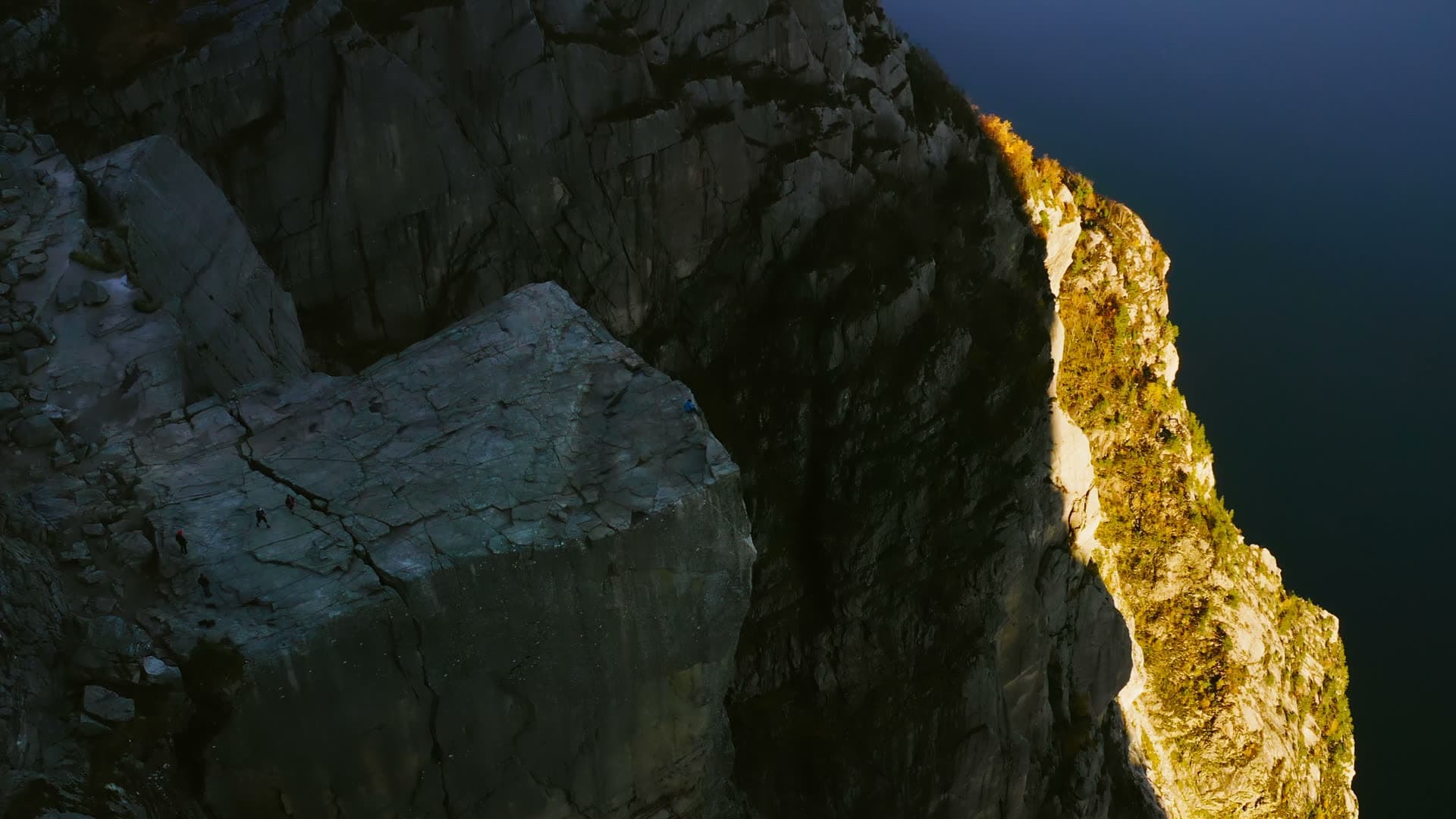 Golden lichen stripe on shadowed vertical cliff, Preikestolen, Norway